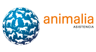 Animalia