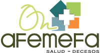 Logo AFEMEFA