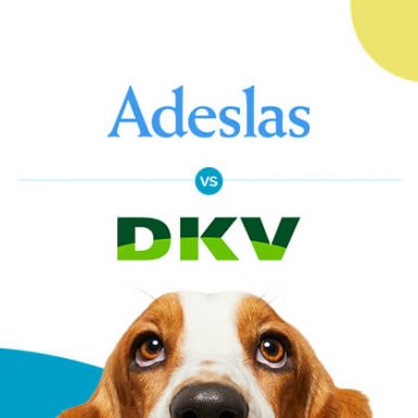 Adeslas vs. DKV, ¿qué aseguradora es mejor?