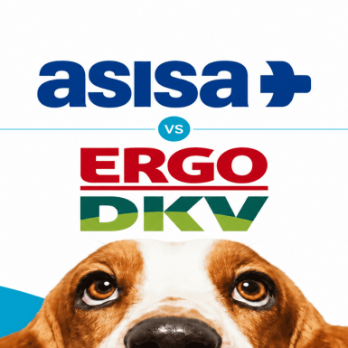 Asisa o DKV: ¿qué seguro de salud es mejor?