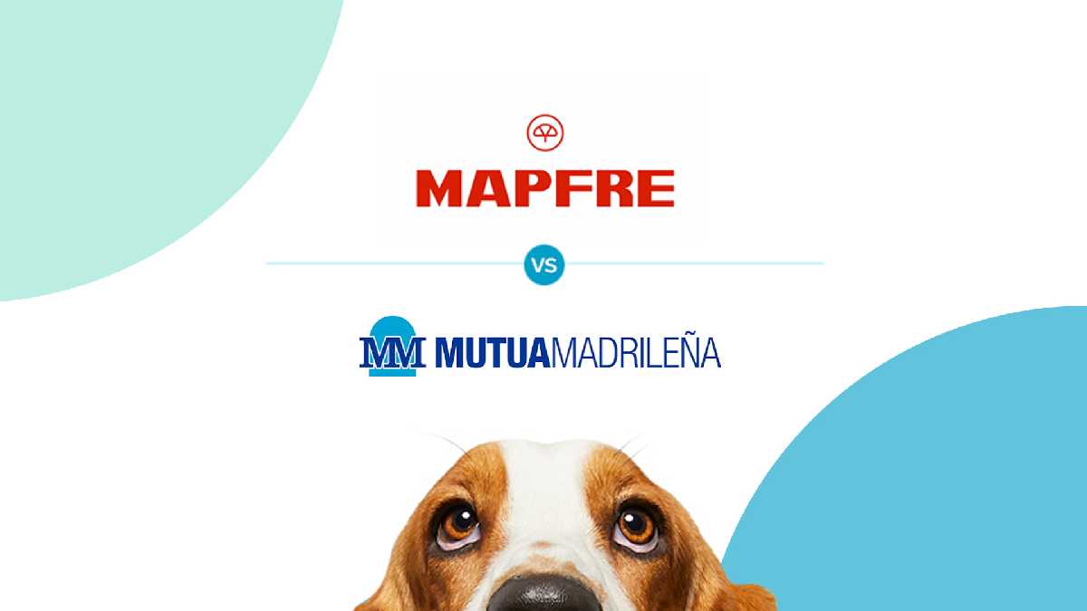 Mutua Madrileña o Mapfre: ¿qué aseguradora es mejor?