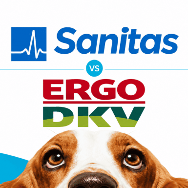 Sanitas o DKV: opiniones y diferencias