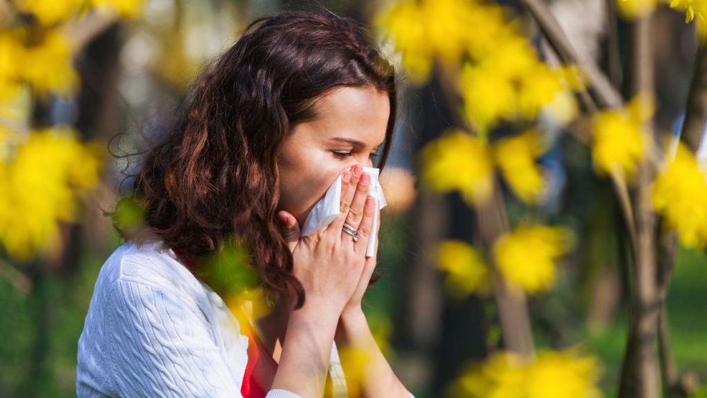 Así será la primavera para los alérgicos en España en 2023