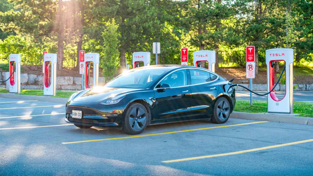 coches electricos mas vendidos junio