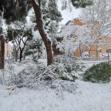 ¿Qué daños ocasionados por la nieve cubren los seguros?