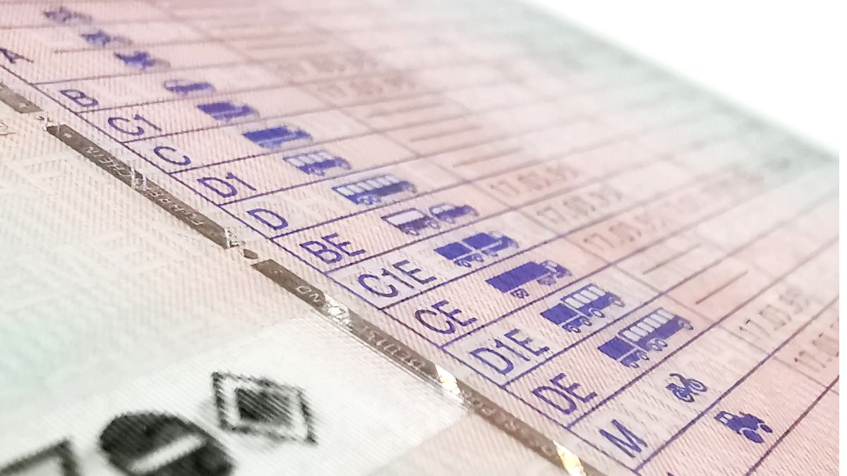 estafa carnet conducir