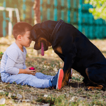 Adoptar un PPP: todo lo que necesitas saber