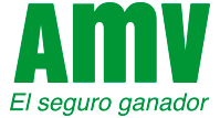 logo amv