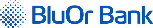 logo bluor