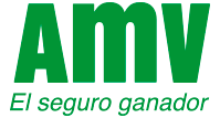 Logo amv-hispania