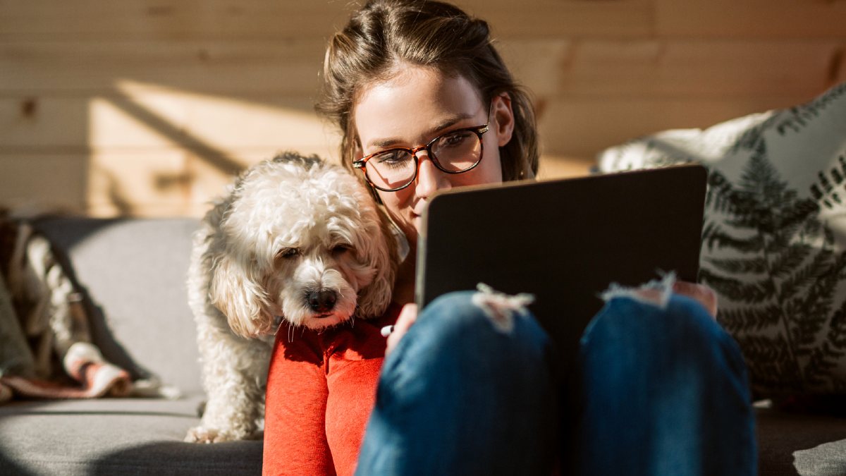 ¿Cuáles son los mejores seguros de vida de diciembre de 2023?
