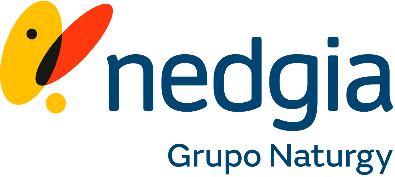 Logo Nedgia Grupo Naturgy