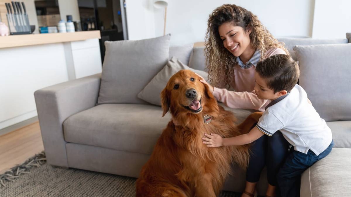 ¿Qué es el contenido en un seguro de Hogar?