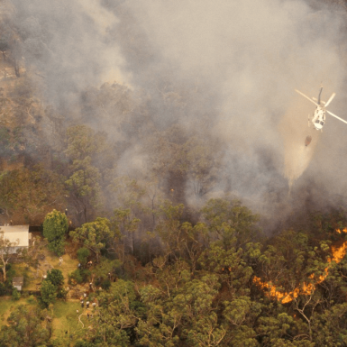 ¿Cubre el seguro de hogar los daños causados por un incendio forestal?