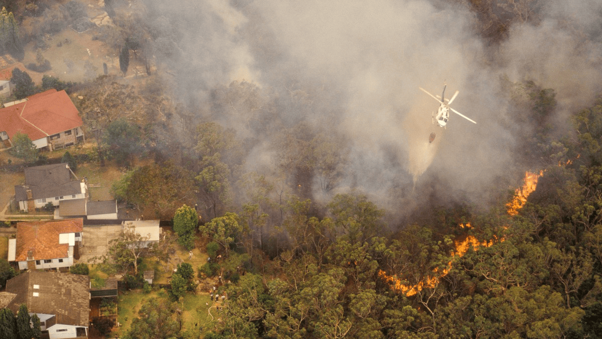 ¿Cubre el seguro de hogar los daños causados por un incendio forestal?