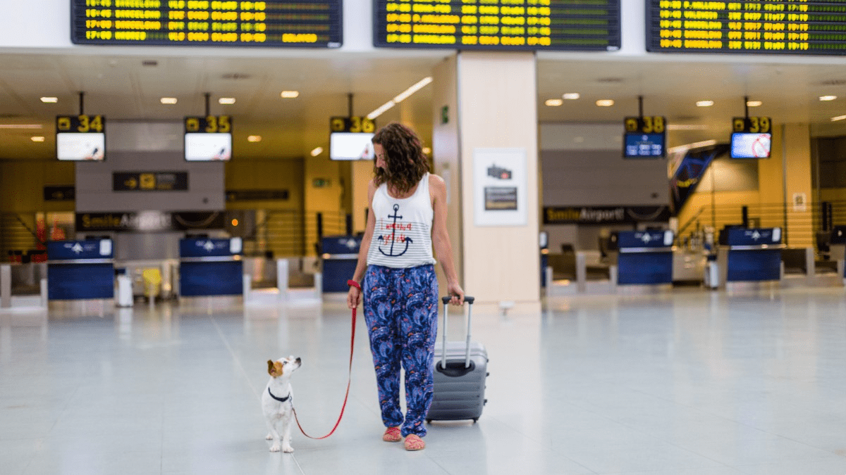 seguro viaje mascotas